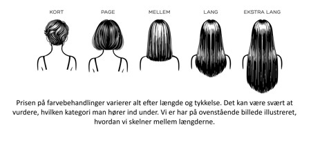 Hvad skal jeg vælge?